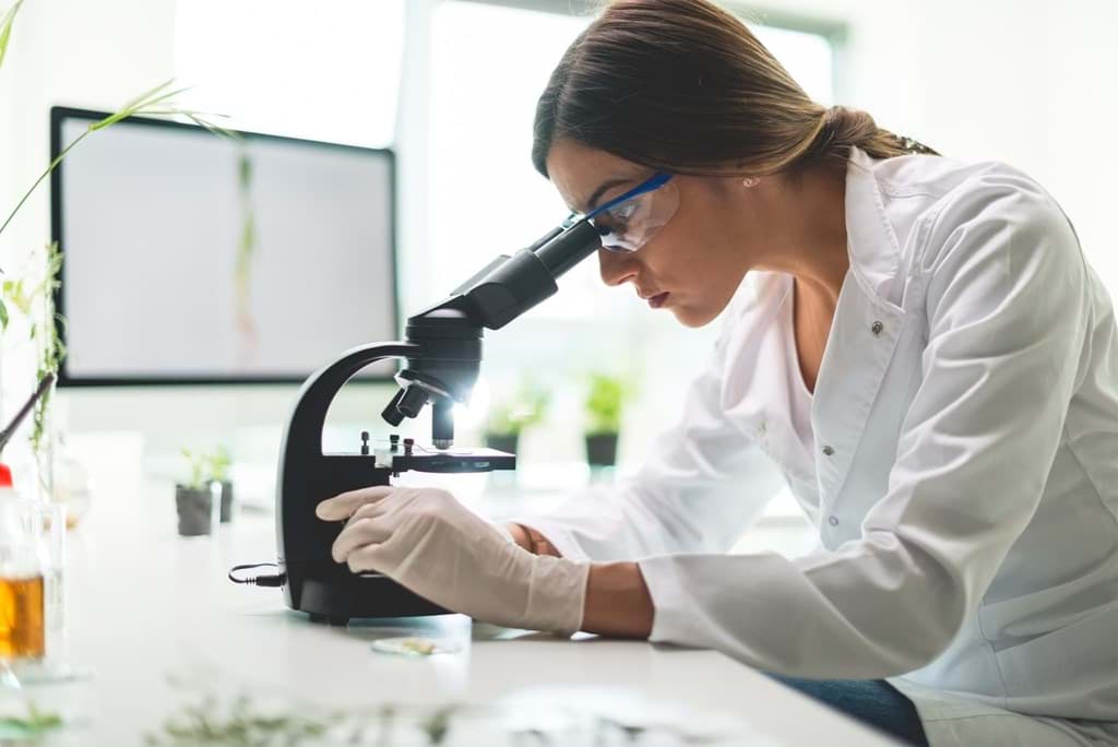 How to count accurately using automated cell counting How to count accurately using automated cell counting